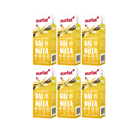 Bebida Lactea Vainilla Surlat, Pack 6