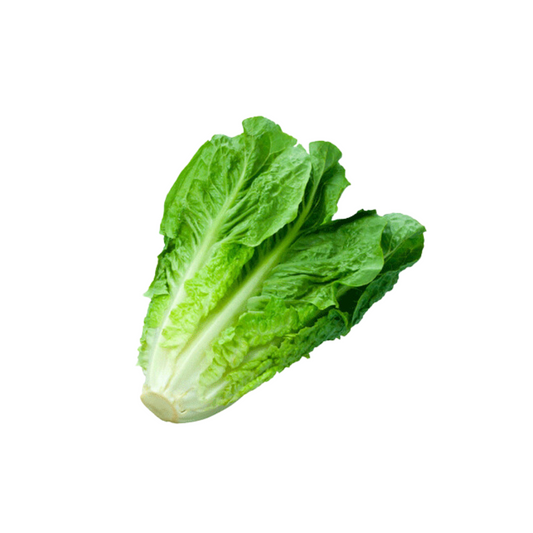 Lechuga Costina, 1Un