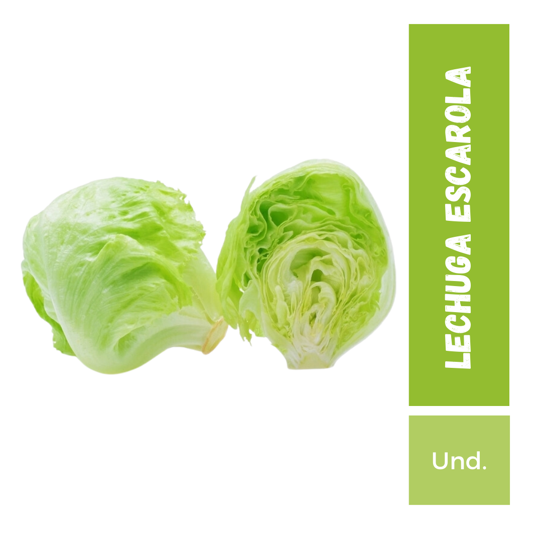 Lechuga Escarola, 1Un