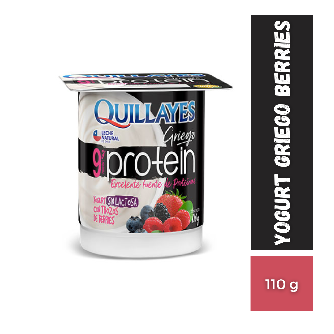 Yogurt Quillayes Protein Griego Berries Sin Lactosa, 110g