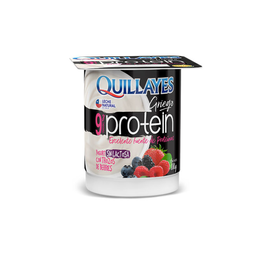 Yogurt Quillayes Protein Griego Berries Sin Lactosa, 110g