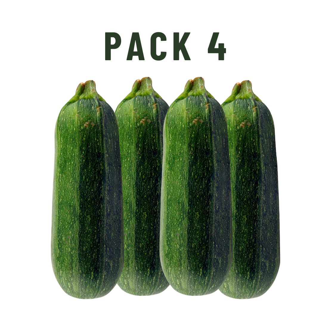 Zapallo Italiano, Pack 4Un