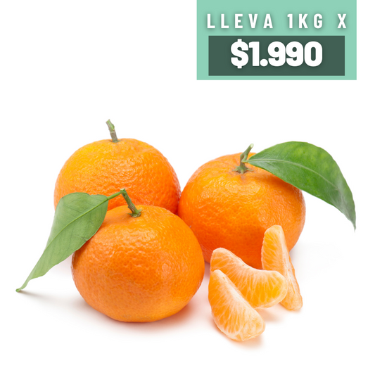 Promoción 1Kg Mandarinas