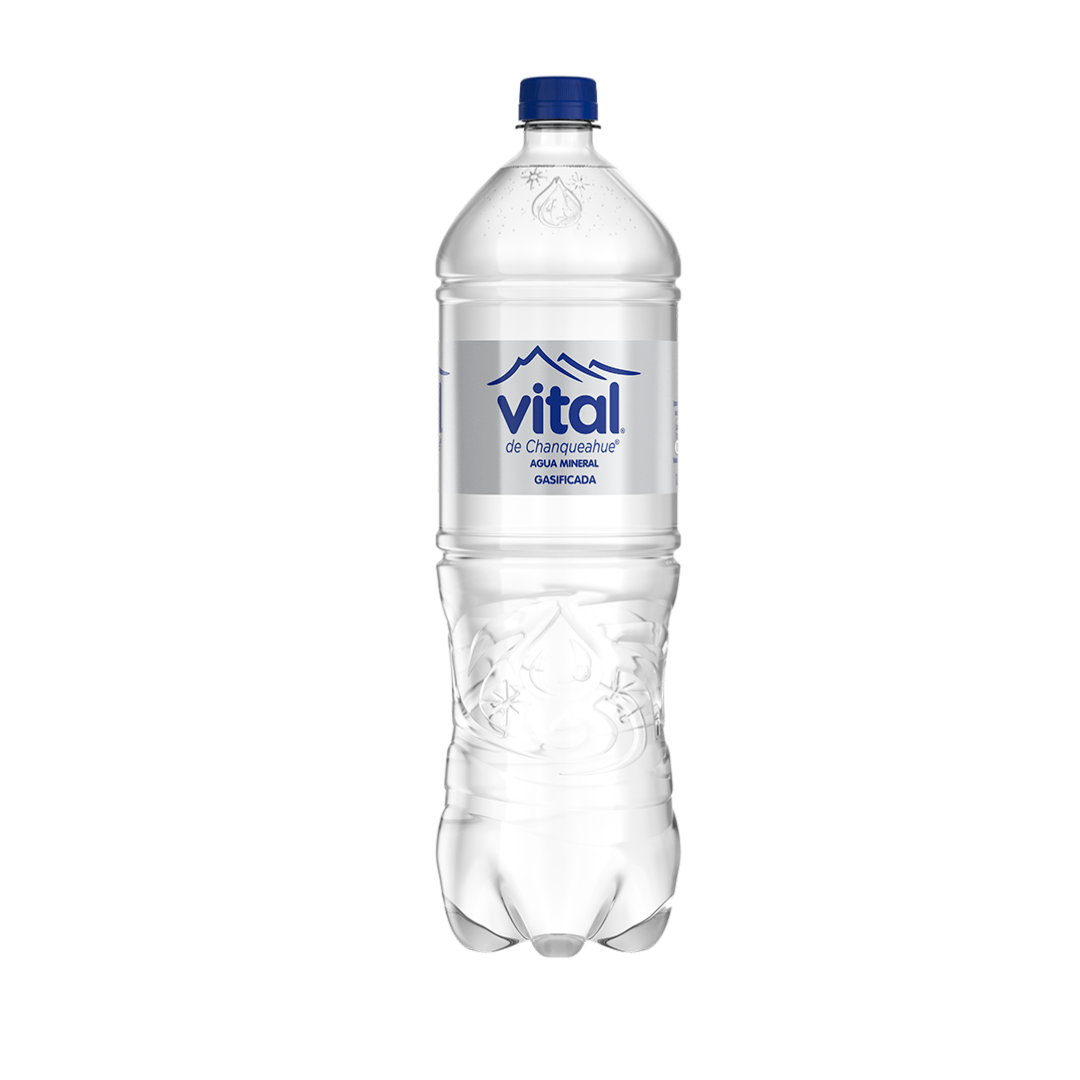 Agua Mineral Vital Con Gas, 1.6L