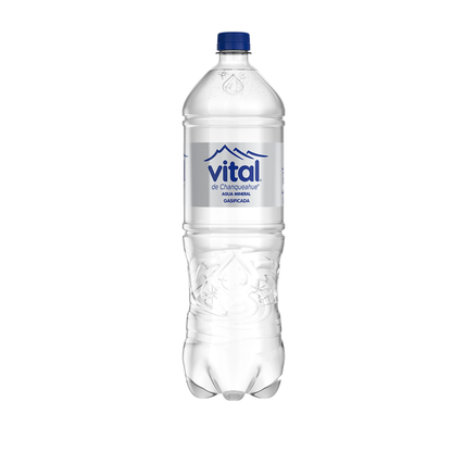Agua Mineral Vital Con Gas, 1.6L