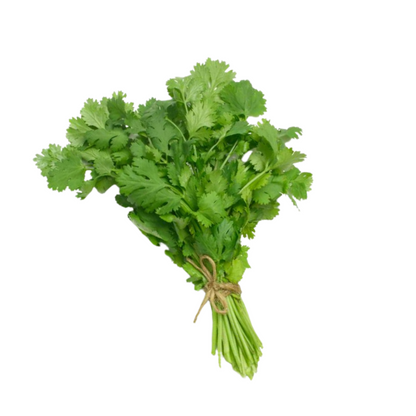 Cilantro 120g