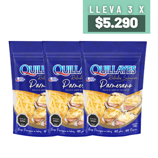 Promoción 3 Queso Rallado Parmesano 100g