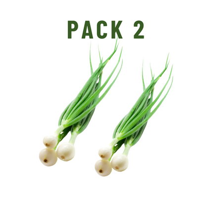 Cebollín Pack 2