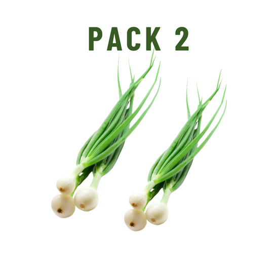 Cebollín Pack 2