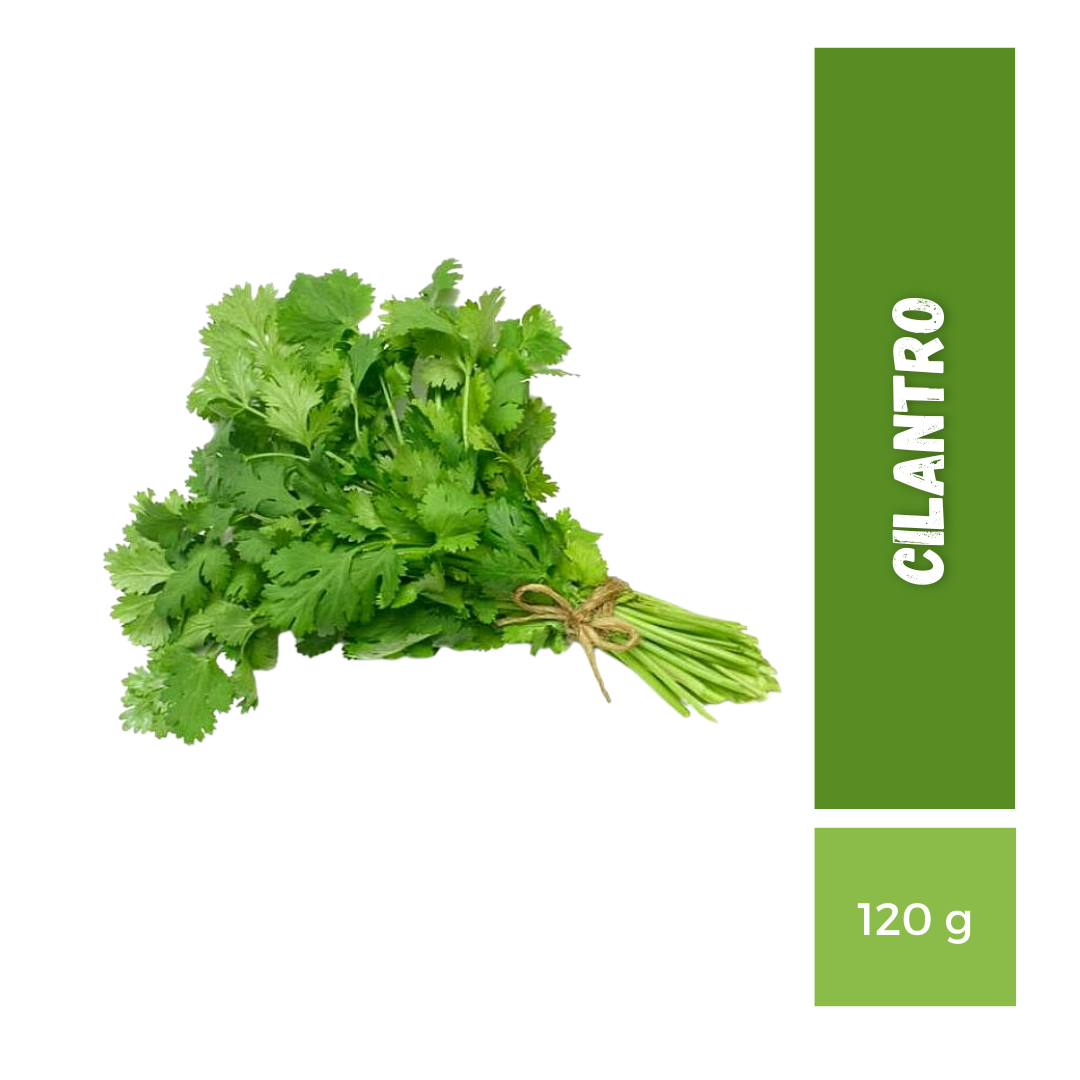 Cilantro 120g